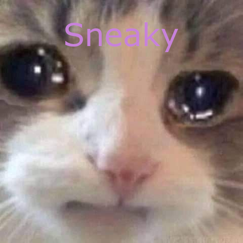 Sad Cat